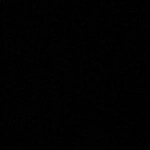 Meet your Posher, Oscar